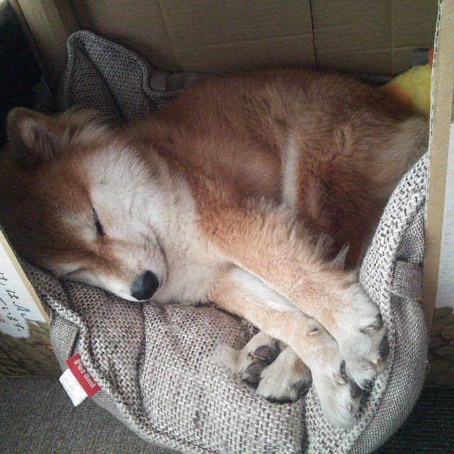 布雷默压哨绝杀!哥伦比亚上演惊天逆转,历史性击败AC米兰