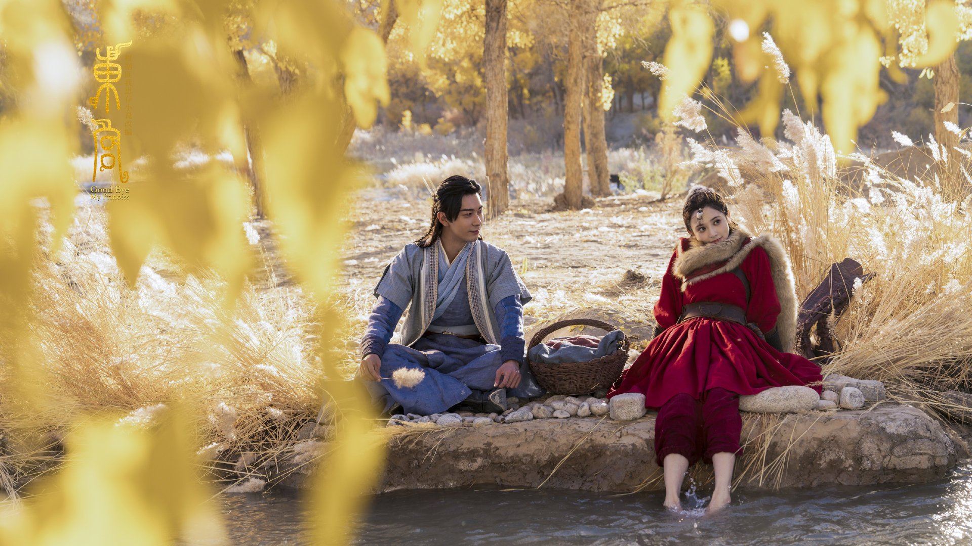 速度与荣耀,当厄德高在F1赛道上演瑞士逆转摩纳哥