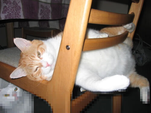 强势，当德国战车碾过土耳其的逆袭梦