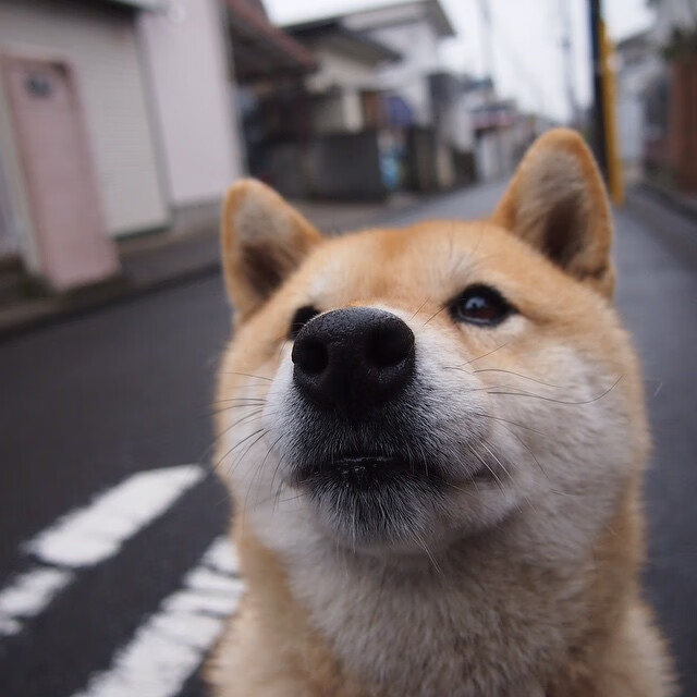 维也纳之夜，一场被定义为唯一的险胜—解码美国奥运周期关键战的真正价值