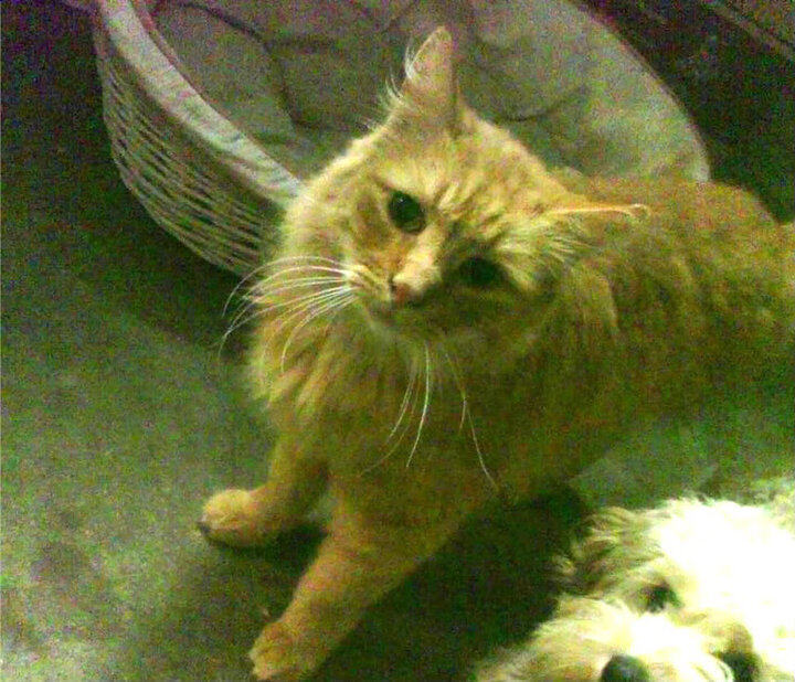 苍穹为证，东西半球的两道登天梯