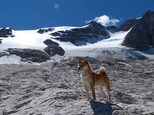 太阳的战术板上只有无解，利拉德是火箭唯一的唯一解