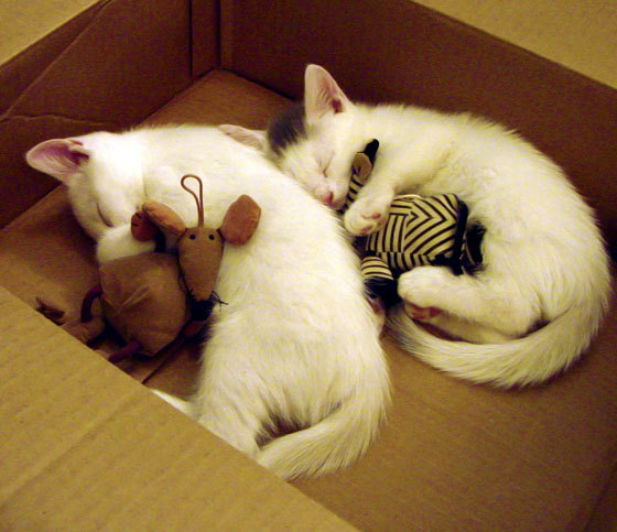 奥运足球双城记，墨西哥提前终结英格兰悬念，伊布关键战接管赛场