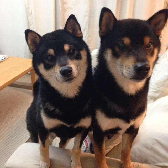 后梅罗时代，当挪威铁骑撞碎巴萨，2026的绿茵交响诗由谁执棒？从特隆赫姆的寒风中，到北美大陆的炽热舞台，足球权杖的隐秘传递