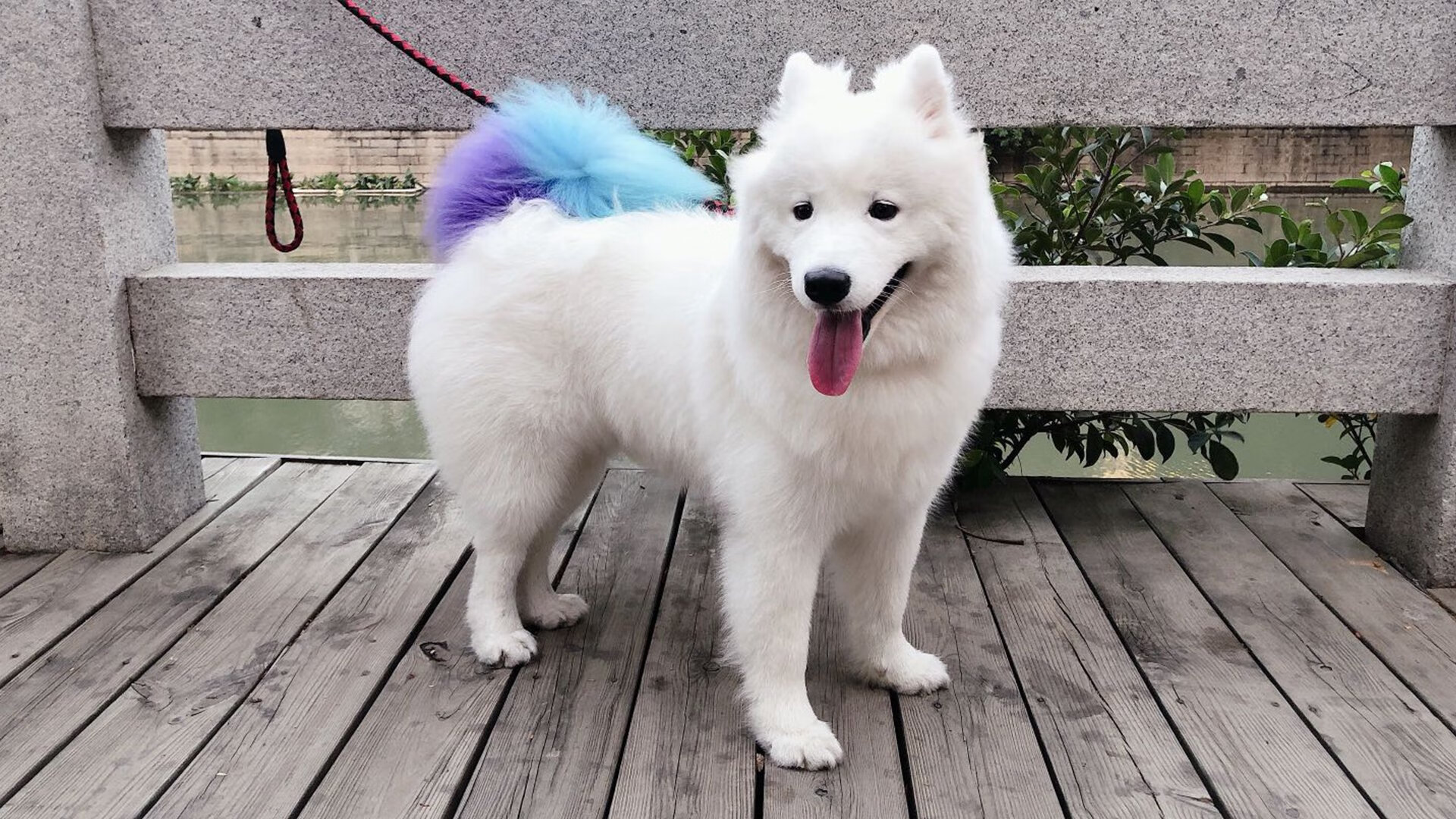 君临北岸花园，字母哥末节统治力诠释何为一波带走