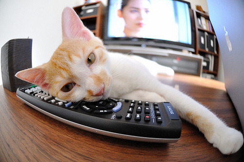 绿茵棋局，一步封喉，凯塞多如何以一人之智肢解洪都拉斯