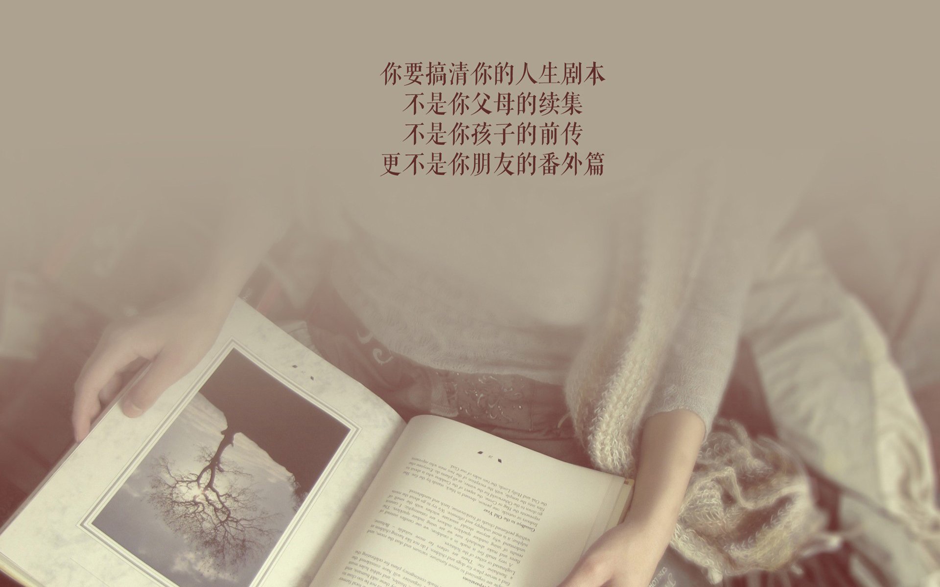 2026世界杯D组强强对话，荷兰碾压厄瓜多尔，姆巴佩闪耀全场，防守反击奏效