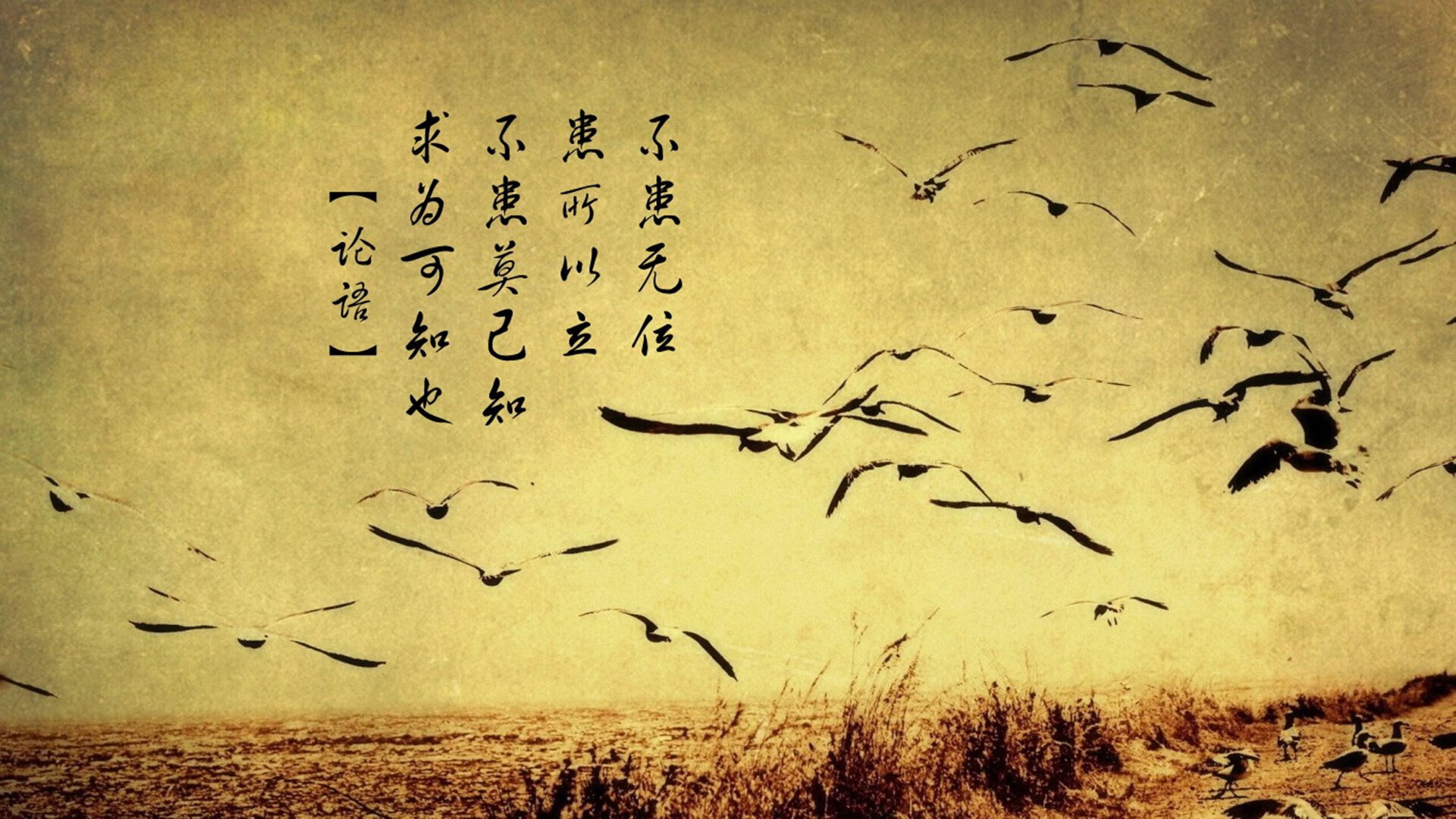 波斯铁骑横扫星条旗,2026世界杯H组焦点战,格列兹曼化身隐形指挥官,伊朗演绎最冷一夜