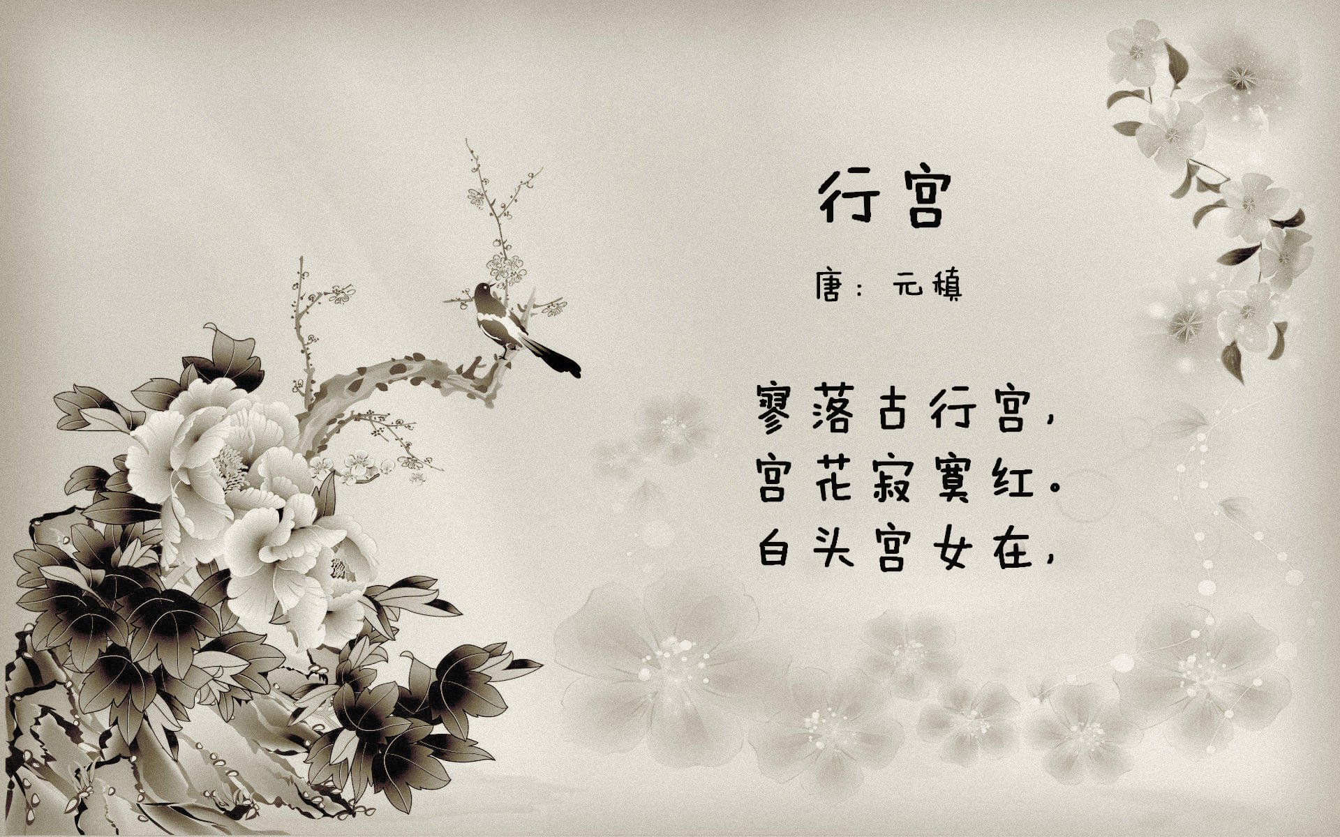 蔚蓝风暴席卷绿茵，加纳闪电战压制葡萄牙，巴雷拉引领E组颠覆之战