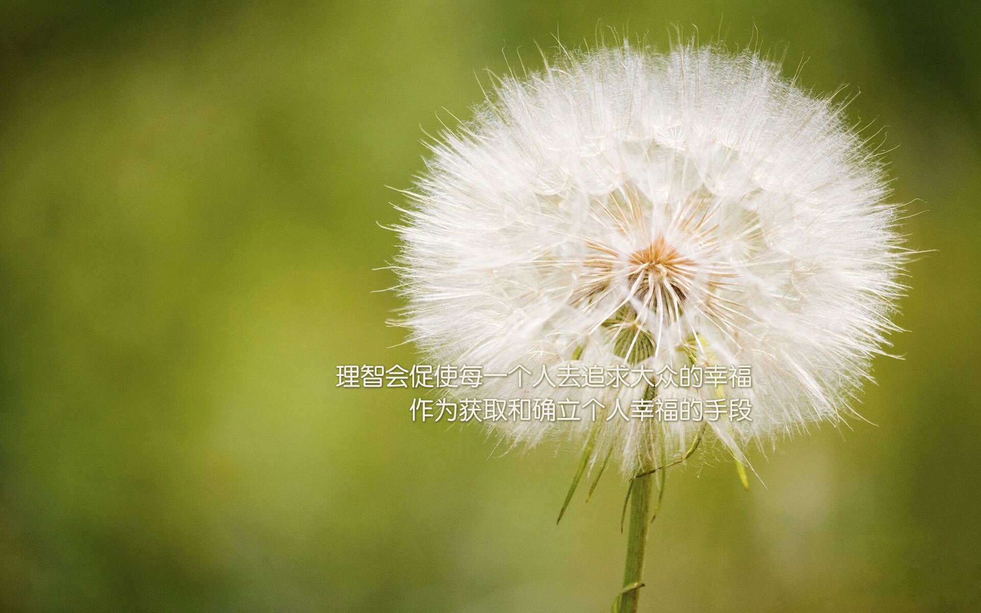 爱游戏tv-唯一性之场，当2026世界杯的代码在G组写下唯一解—姆巴佩与美国命运的黄金交叉